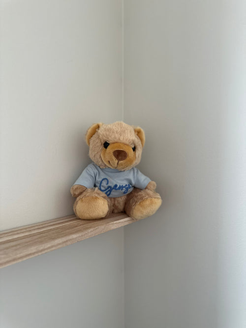 Boo Bear in a blue t-shirt