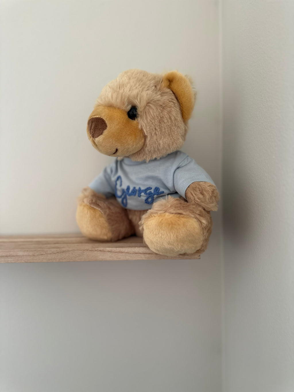 Boo Bear in a blue t-shirt