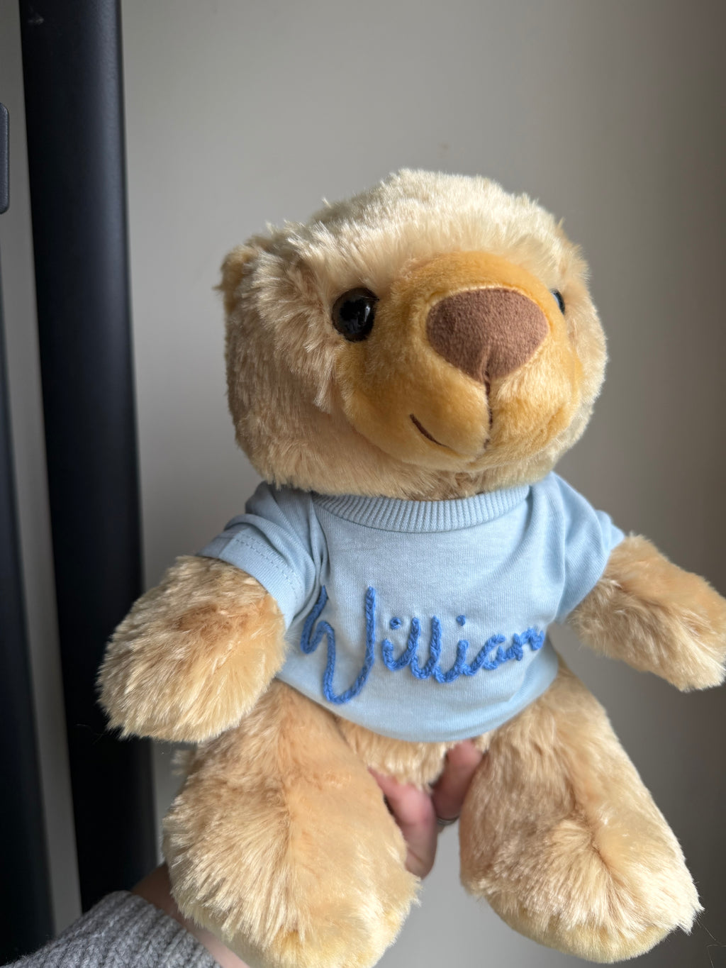 Boo Bear in a blue t-shirt