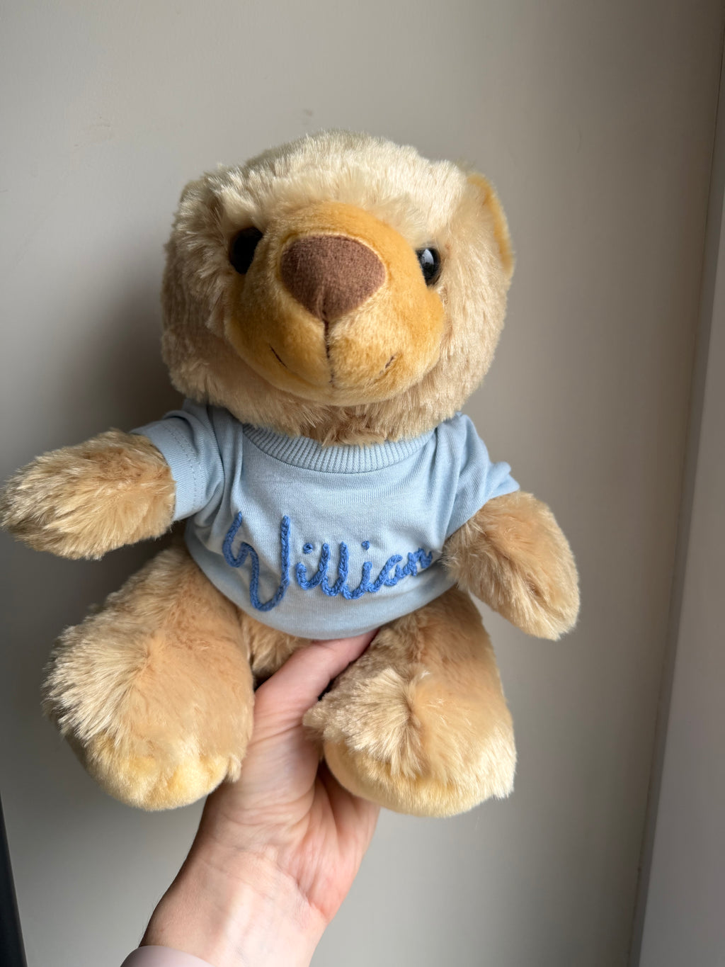 Boo Bear in a blue t-shirt