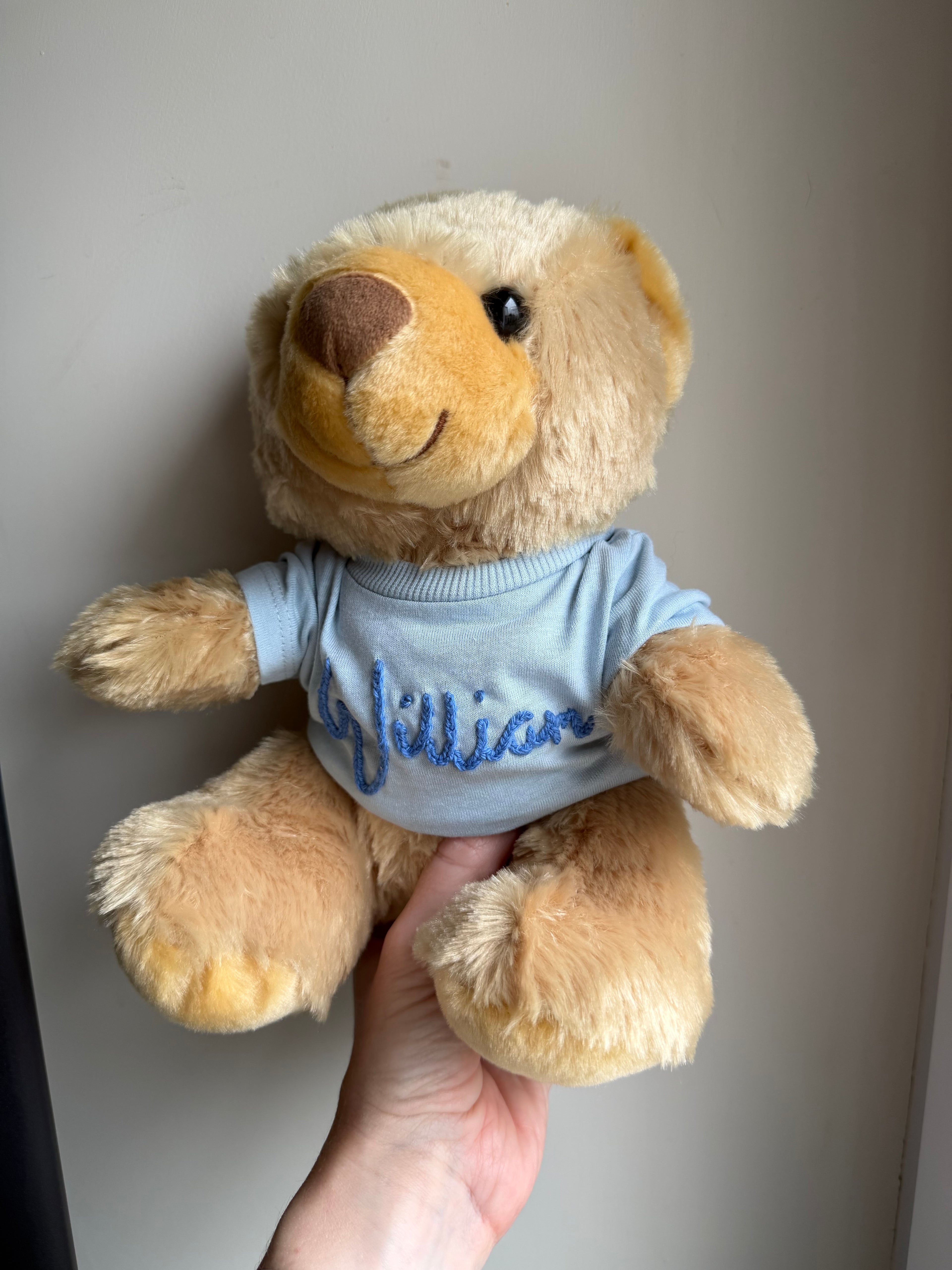 Boo Bear in a blue t-shirt